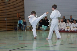 IMG_7690_bearbeitet-1