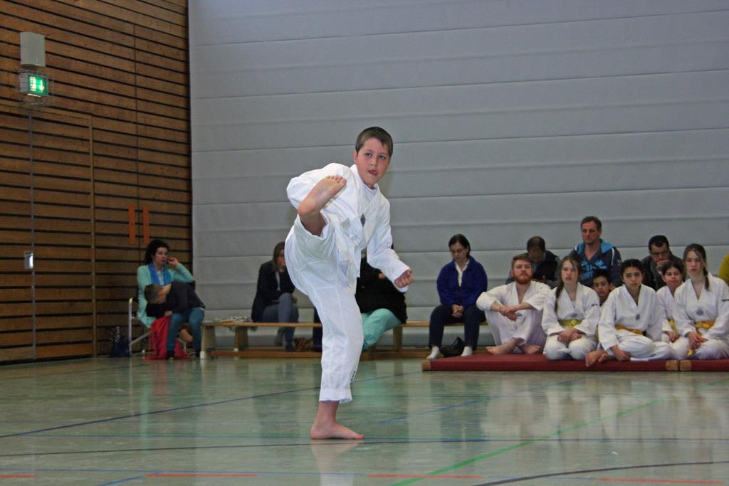 IMG_7713_bearbeitet-1