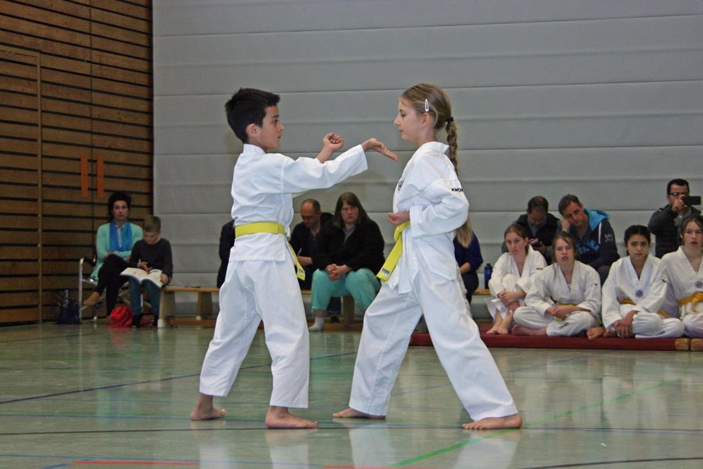 IMG_7763_bearbeitet-1