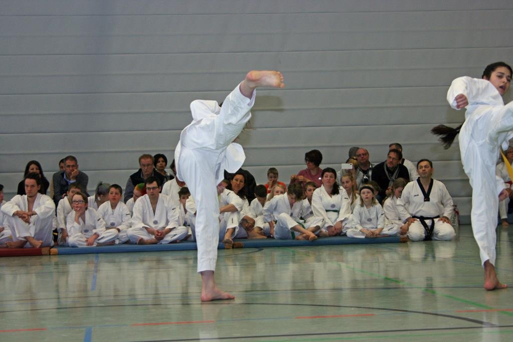 IMG_7804_bearbeitet-1