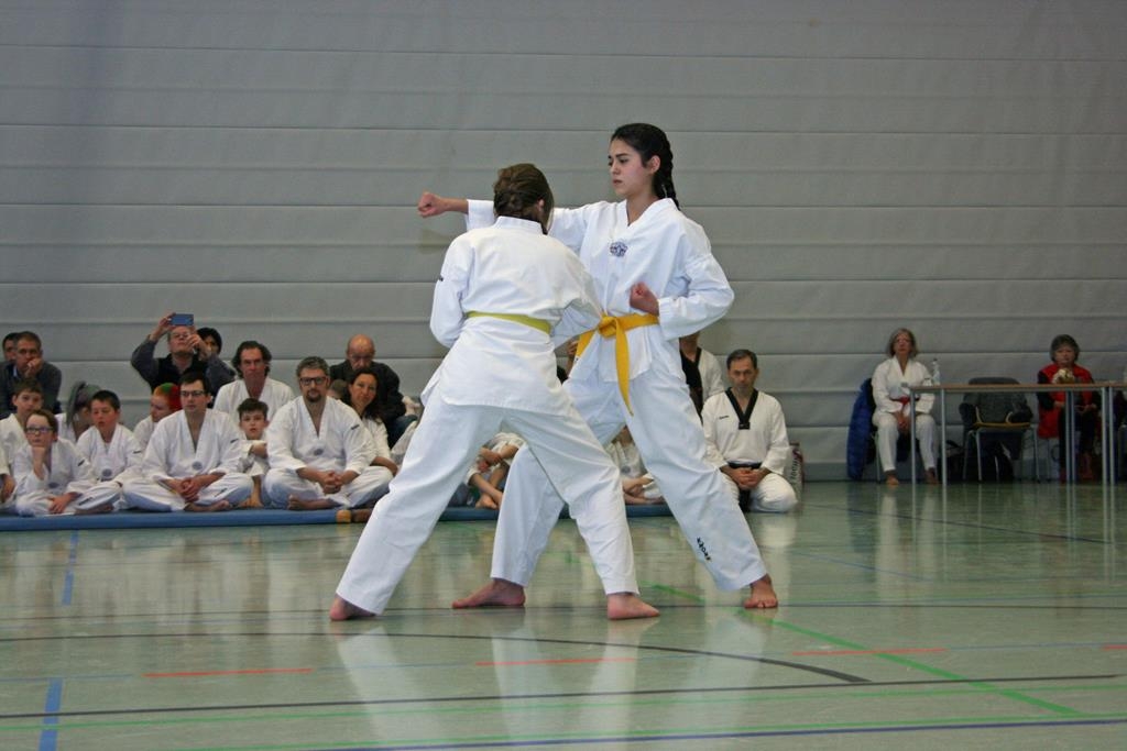 IMG_7811_bearbeitet-1