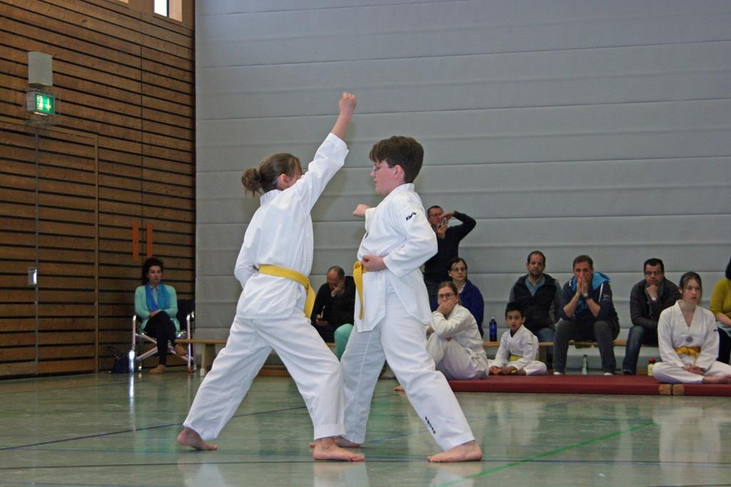 IMG_7812_bearbeitet-1