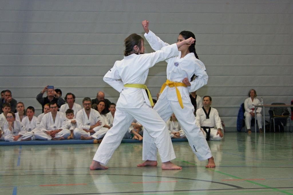 IMG_7817_bearbeitet-1