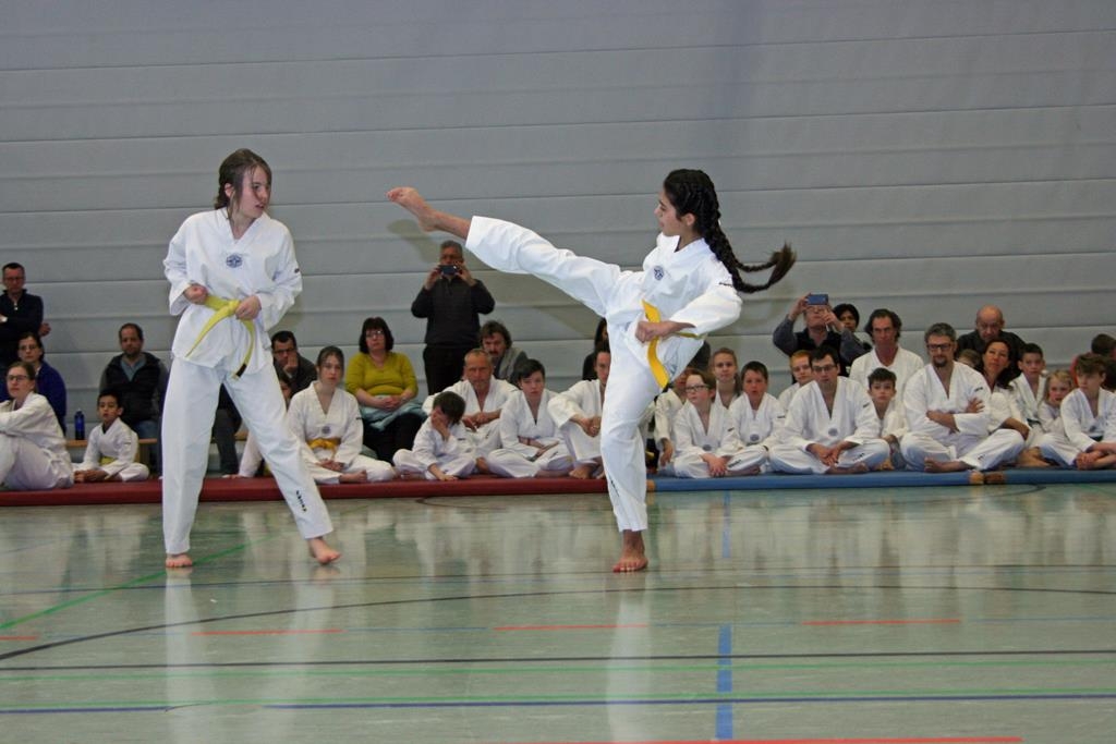 IMG_7826_bearbeitet-1