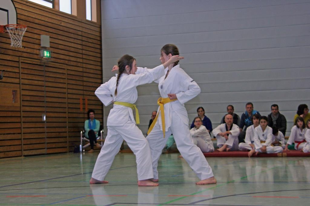 IMG_7874_bearbeitet-1