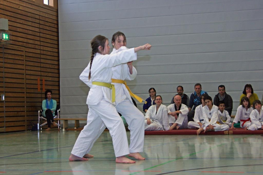 IMG_7878_bearbeitet-1