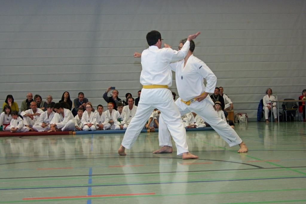 IMG_7882_bearbeitet-1