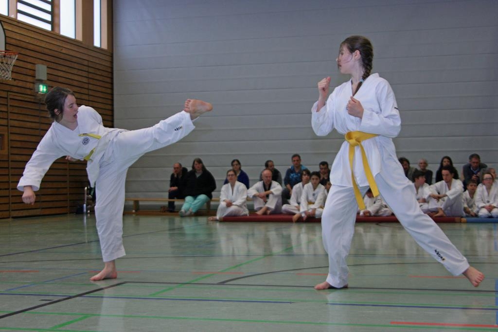 IMG_7894_bearbeitet-1