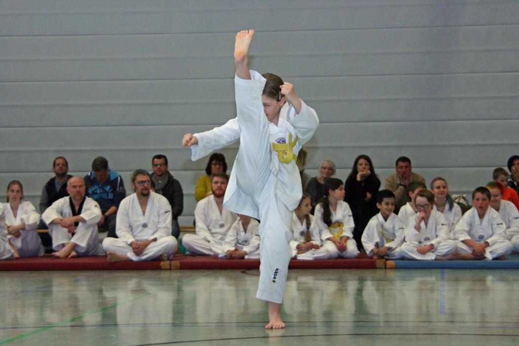 IMG_7911_bearbeitet-1