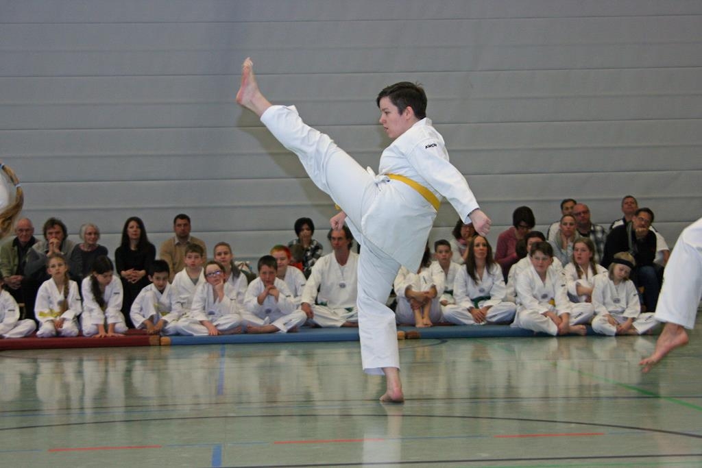 IMG_7931_bearbeitet-1