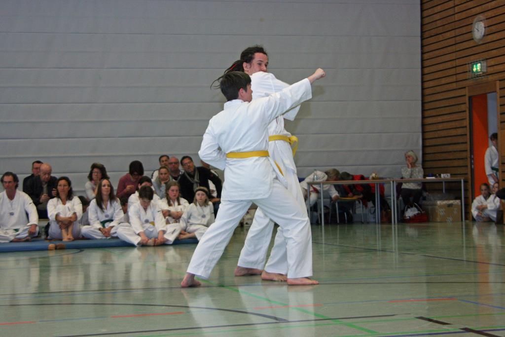 IMG_7937_bearbeitet-1