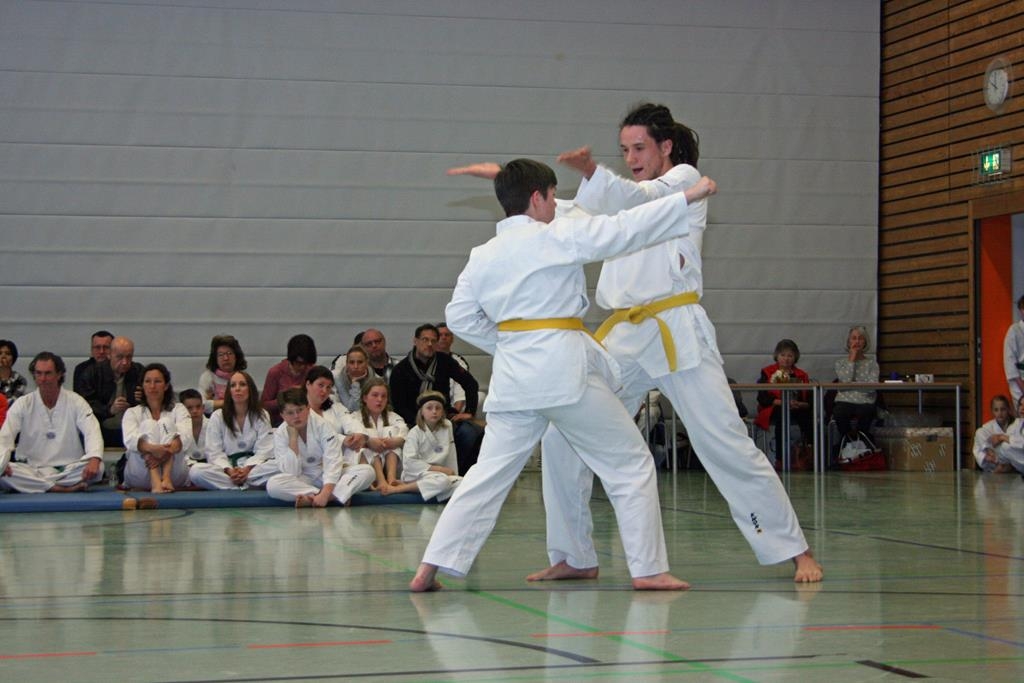 IMG_7941_bearbeitet-1