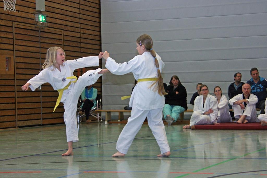 IMG_7950_bearbeitet-1