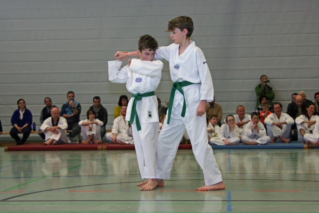 IMG_8009_bearbeitet-1