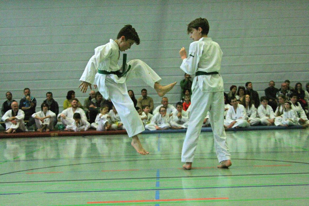 IMG_8021_bearbeitet-1