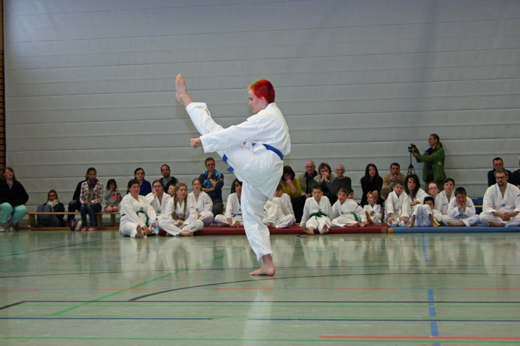 IMG_8210_bearbeitet-1