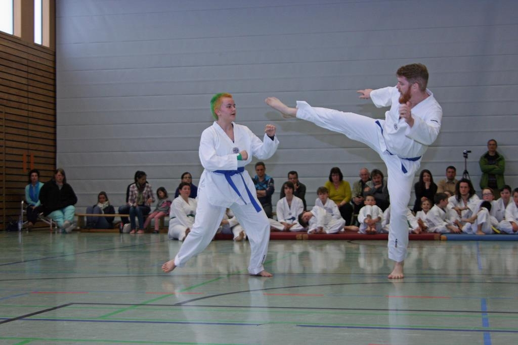 IMG_8233_bearbeitet-1