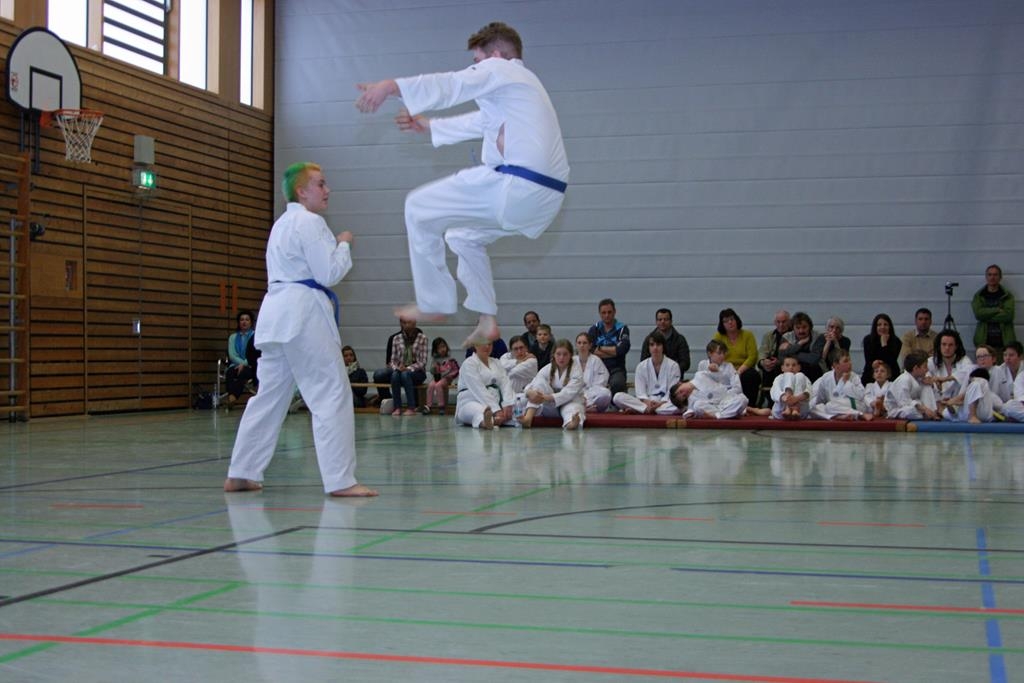 IMG_8236_bearbeitet-1