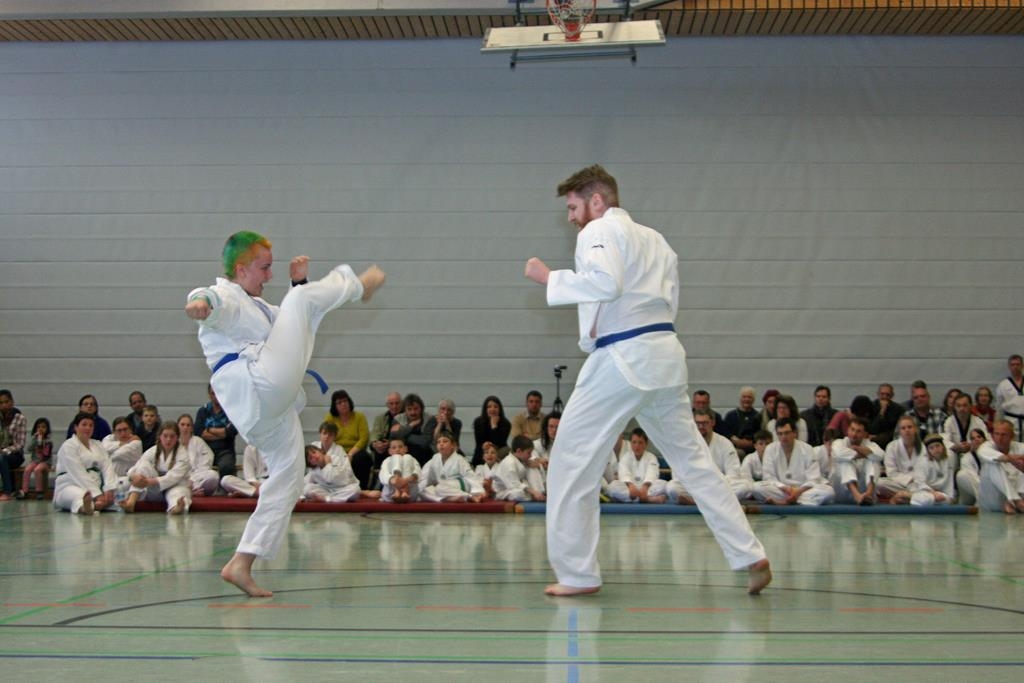 IMG_8237_bearbeitet-1