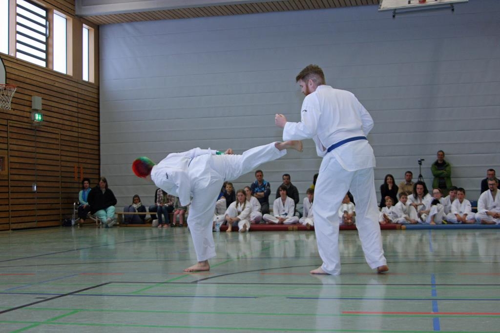 IMG_8241_bearbeitet-1