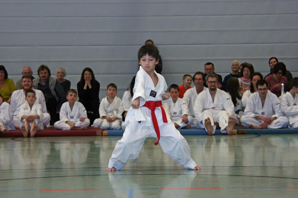 IMG_8245_bearbeitet-1