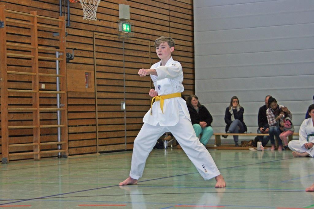 IMG_8252_bearbeitet-1