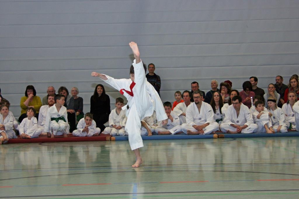 IMG_8262_bearbeitet-1