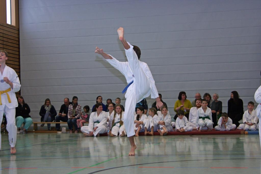 IMG_8263_bearbeitet-1