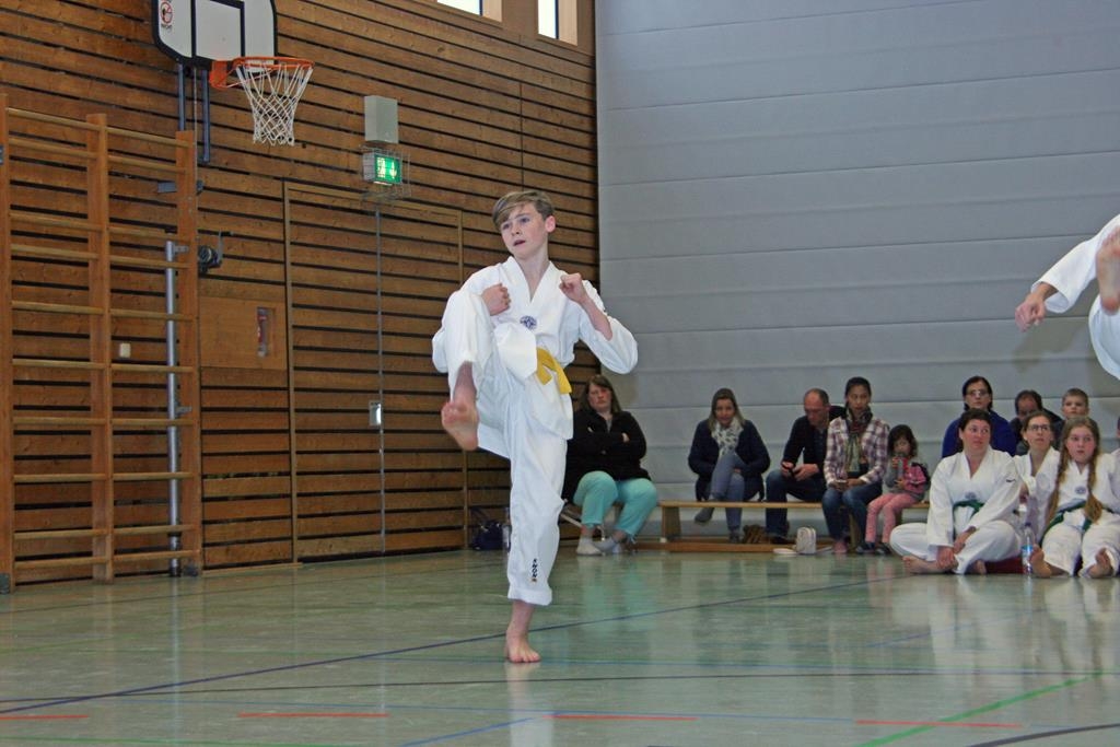 IMG_8264_bearbeitet-1