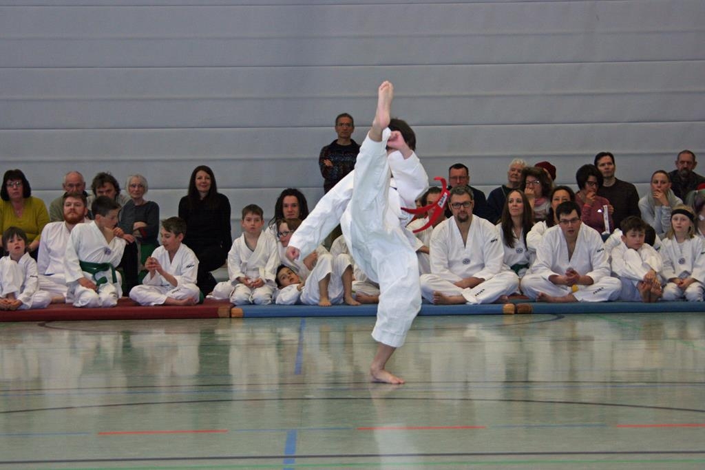 IMG_8268_bearbeitet-1