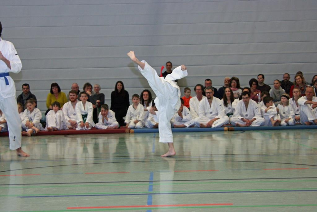 IMG_8271_bearbeitet-1