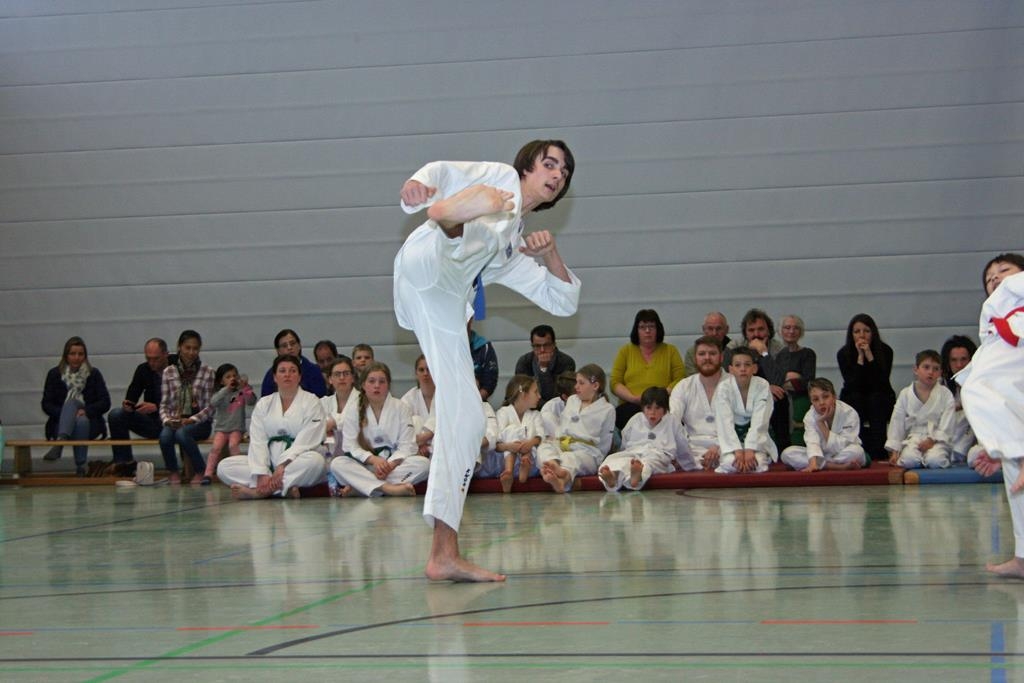 IMG_8280_bearbeitet-1