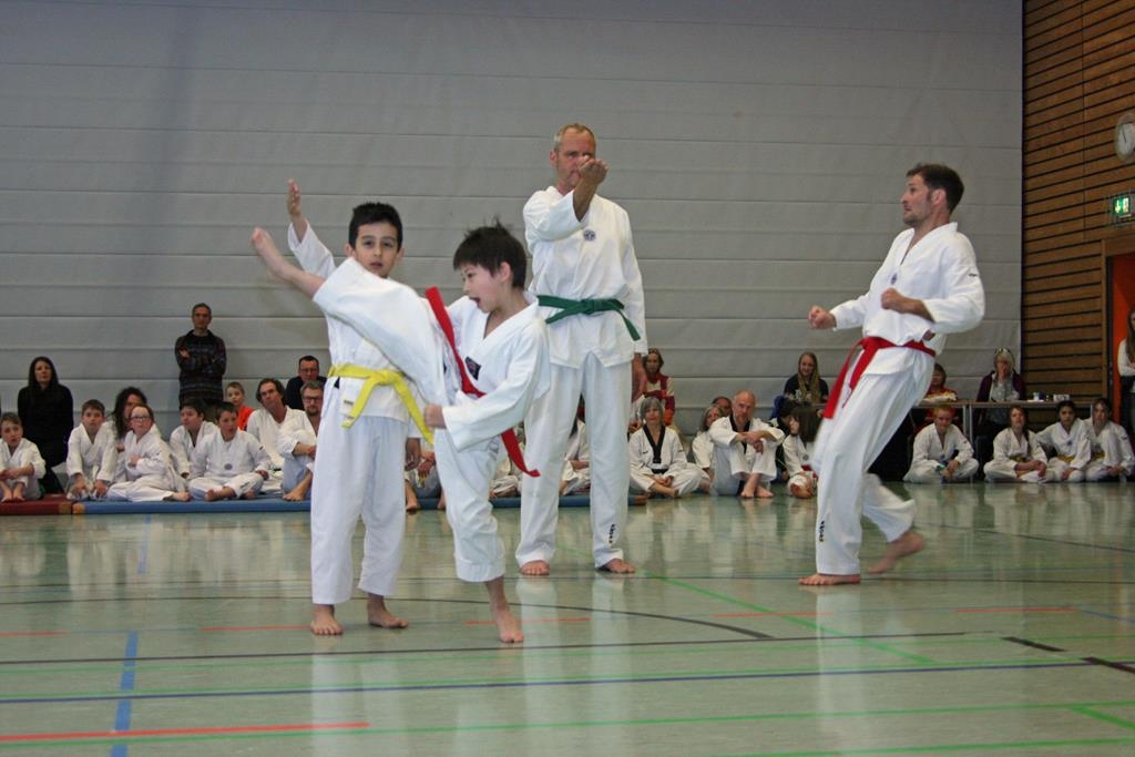 IMG_8291_bearbeitet-1