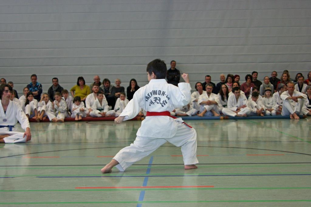 IMG_8331_bearbeitet-1