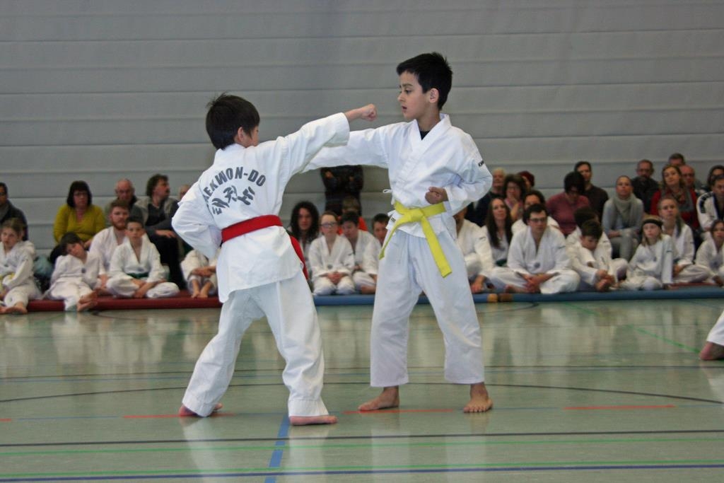 IMG_8341_bearbeitet-1