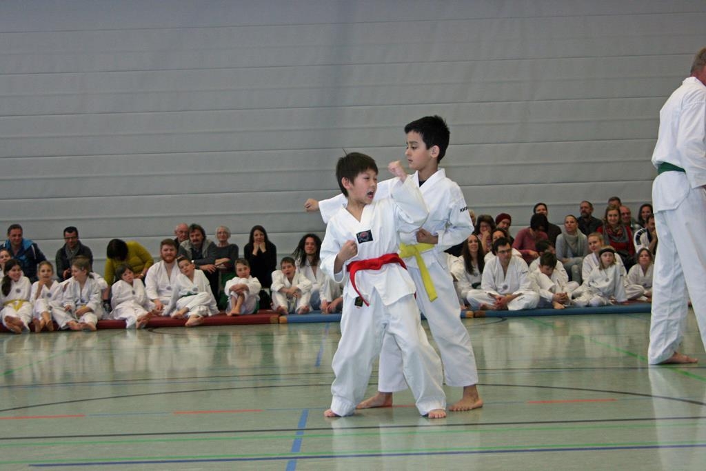 IMG_8350_bearbeitet-1