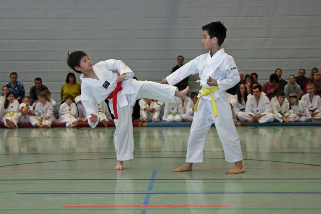 IMG_8357_bearbeitet-1