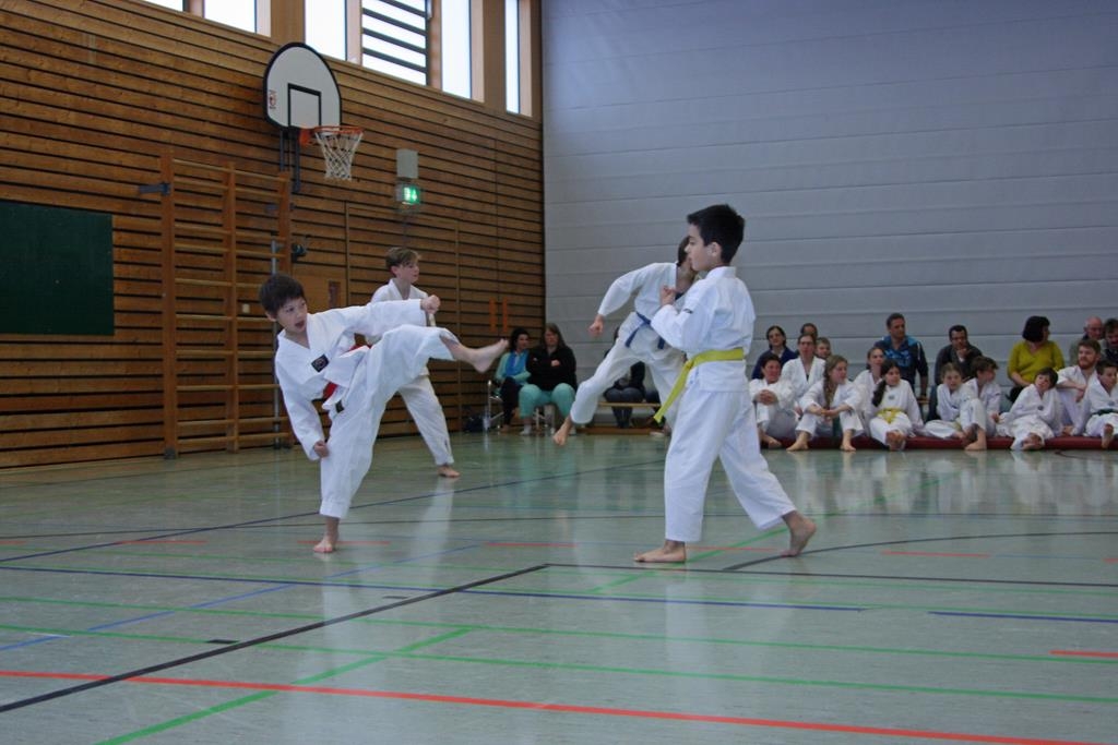 IMG_8378_bearbeitet-1