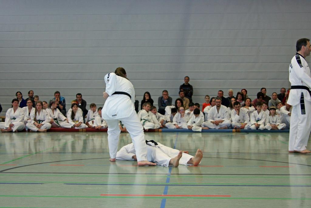 IMG_8548_bearbeitet-1