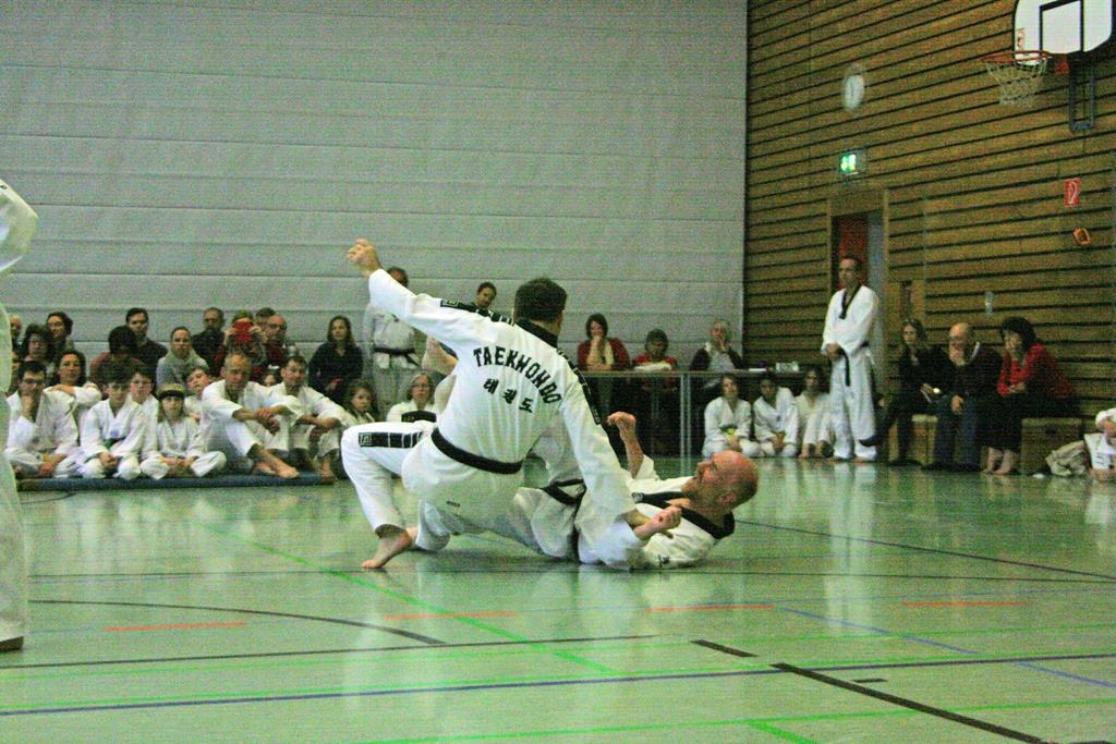 IMG_8550_bearbeitet-1