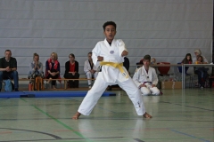 IMG_5884_bearbeitet-1