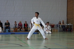 IMG_5886_bearbeitet-1