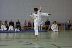 IMG_5890_bearbeitet-1