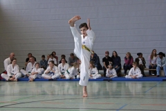 IMG_5922_bearbeitet-1