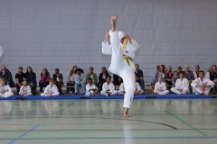 IMG_5923_bearbeitet-1