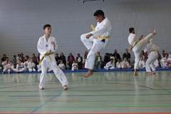 IMG_5955_bearbeitet-1