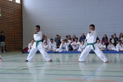 IMG_5972_bearbeitet-1