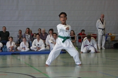 IMG_5973_bearbeitet-1