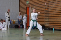 IMG_5974_bearbeitet-1