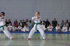 IMG_5978_bearbeitet-1